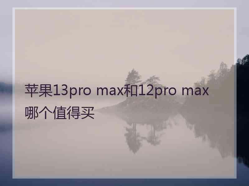 苹果13pro max和12pro max哪个值得买