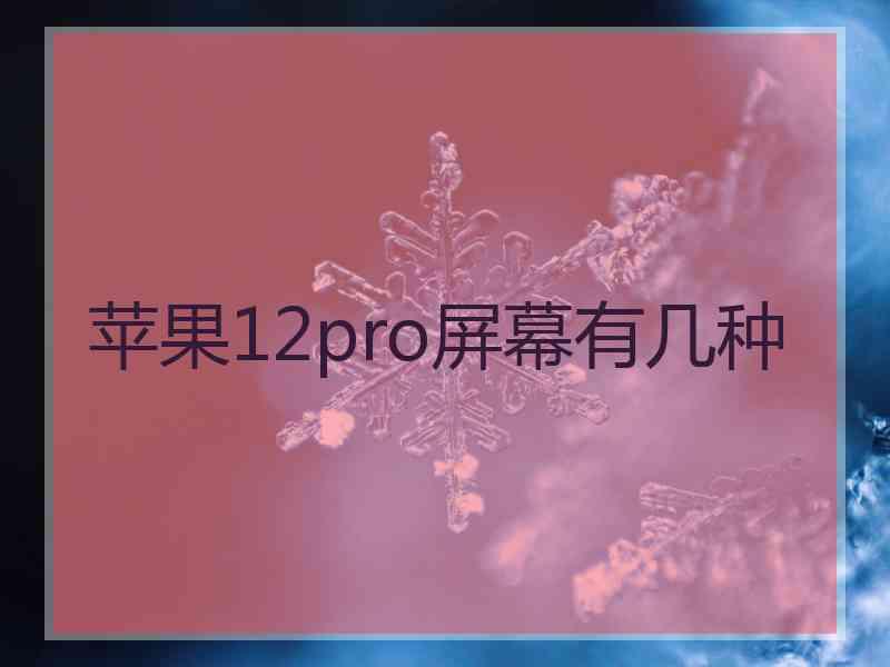 苹果12pro屏幕有几种