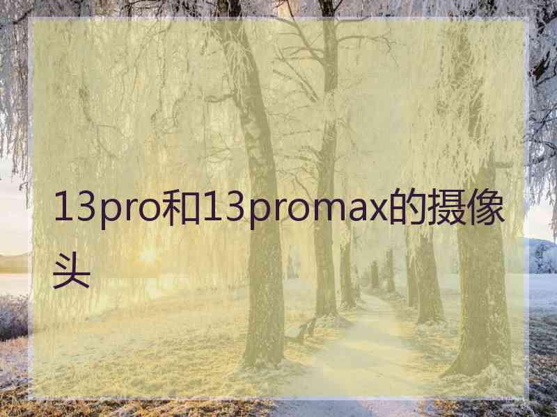 13pro和13promax的摄像头