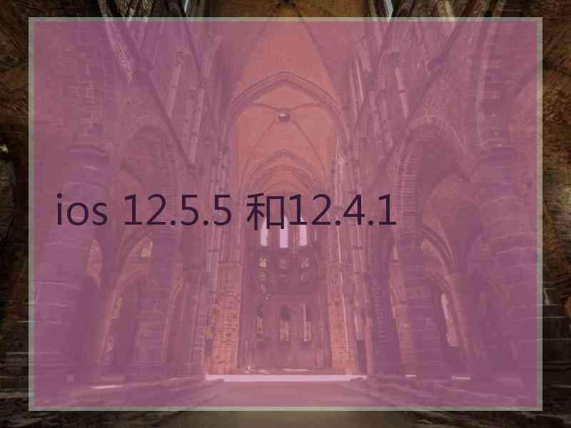 ios 12.5.5 和12.4.1