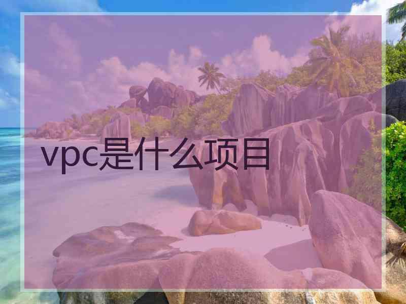 vpc是什么项目