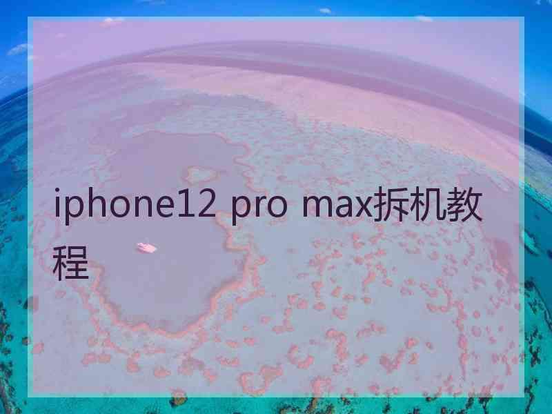 iphone12 pro max拆机教程