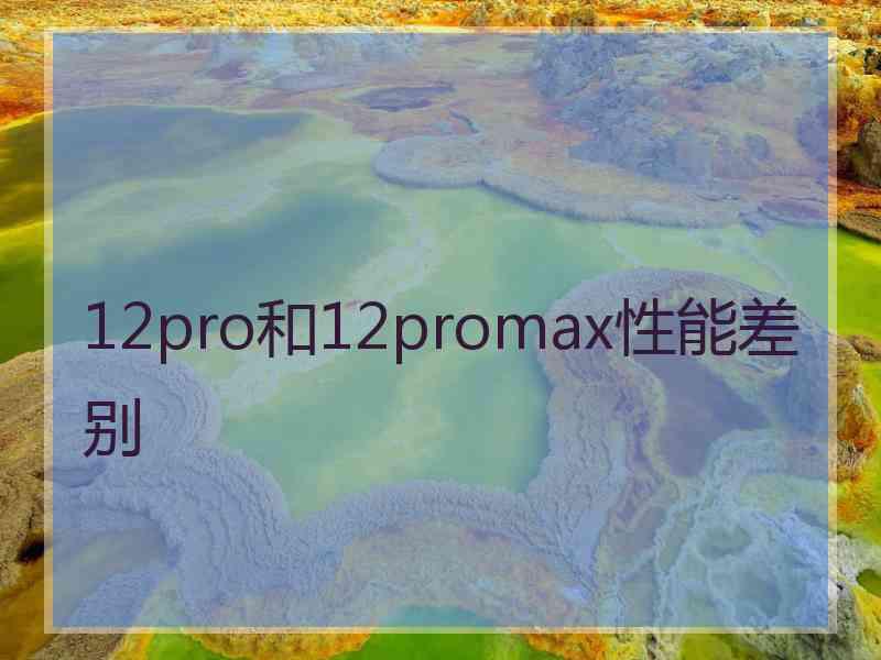 12pro和12promax性能差别