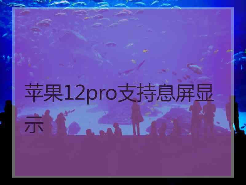 苹果12pro支持息屏显示