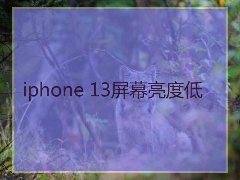 iphone 13屏幕亮度低