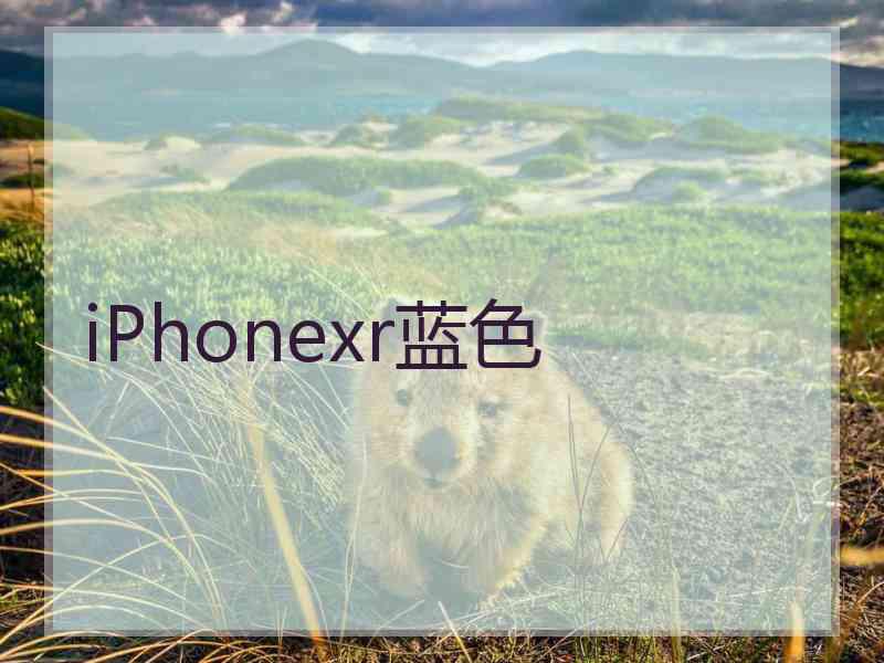 iPhonexr蓝色