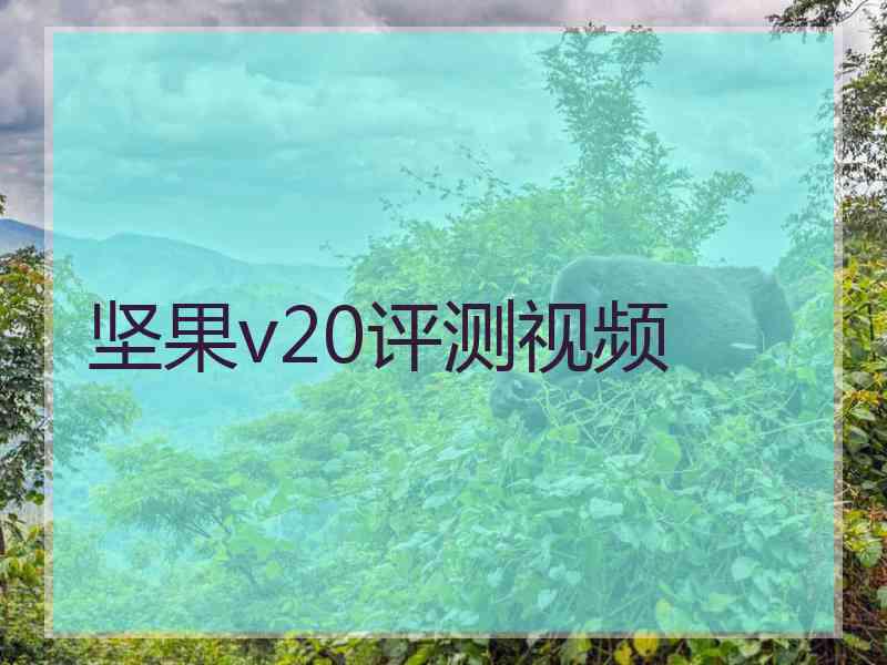 坚果v20评测视频