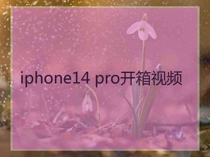 iphone14 pro开箱视频