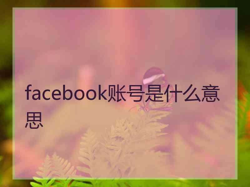 facebook账号是什么意思