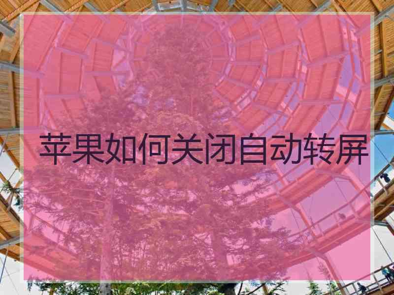 苹果如何关闭自动转屏