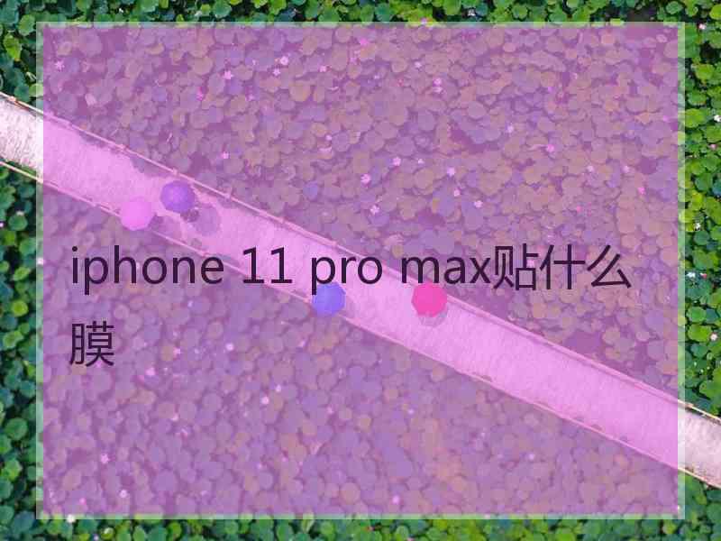 iphone 11 pro max贴什么膜