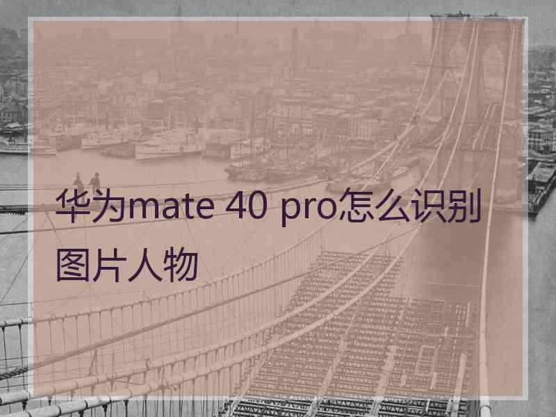 华为mate 40 pro怎么识别图片人物