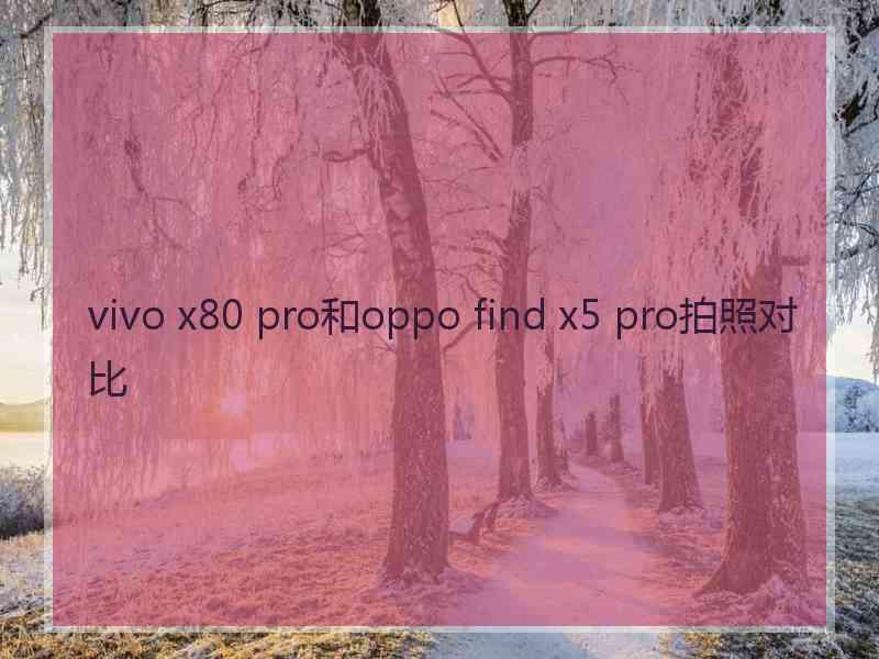 vivo x80 pro和oppo find x5 pro拍照对比