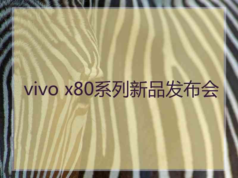 vivo x80系列新品发布会