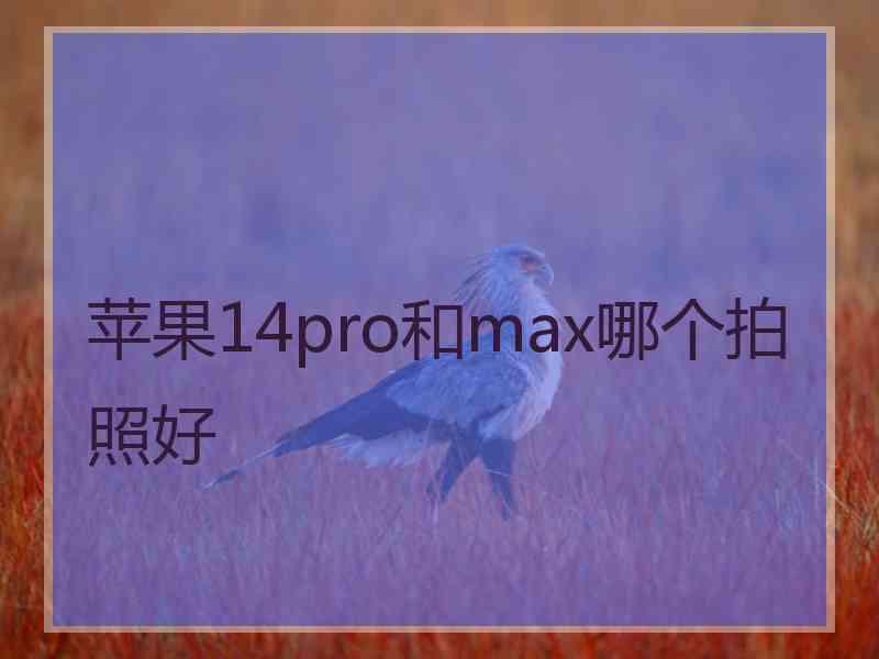 苹果14pro和max哪个拍照好