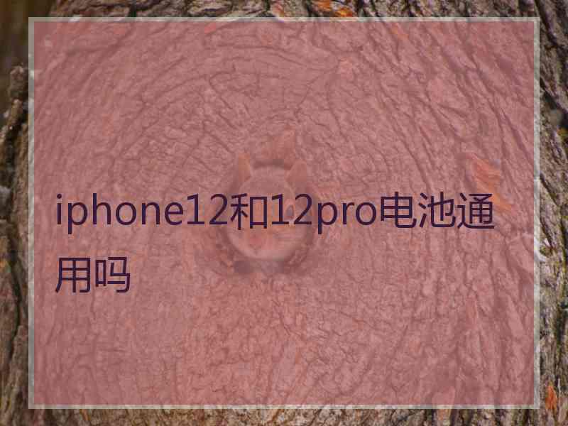 iphone12和12pro电池通用吗