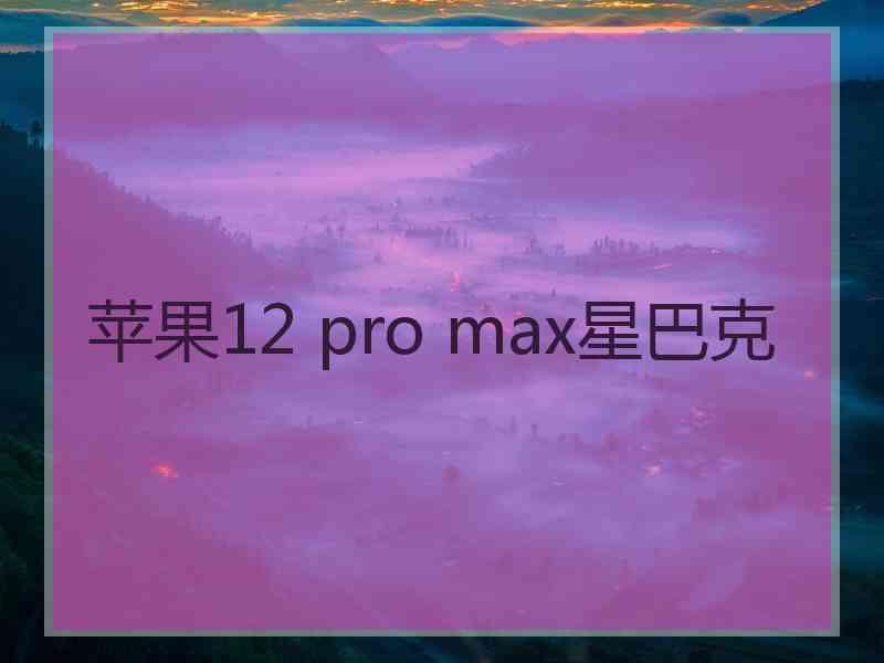 苹果12 pro max星巴克