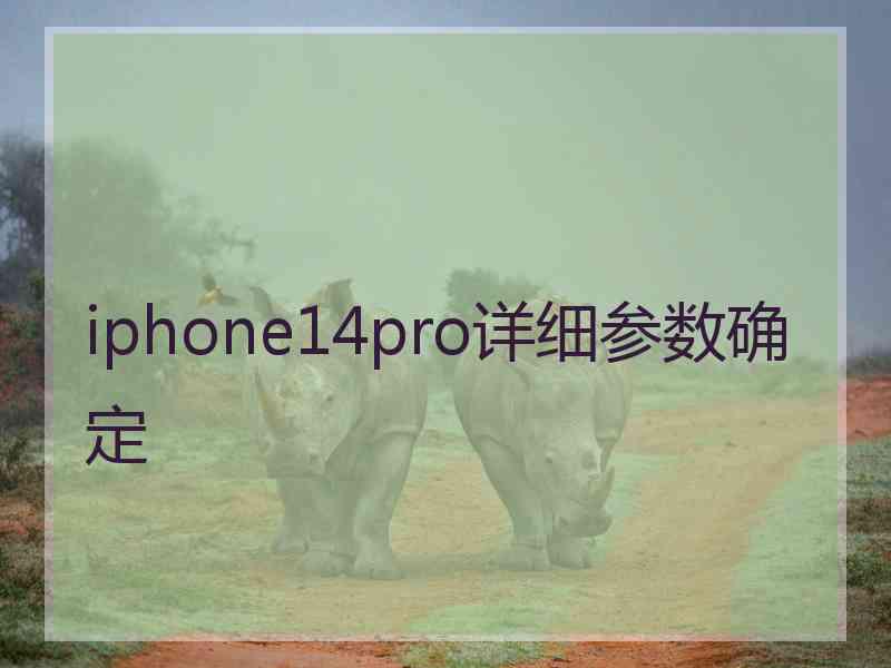 iphone14pro详细参数确定