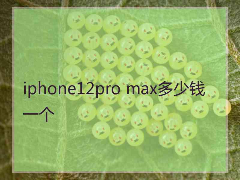 iphone12pro max多少钱一个