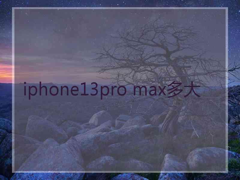 iphone13pro max多大