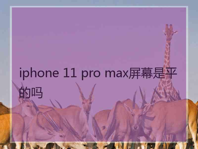 iphone 11 pro max屏幕是平的吗