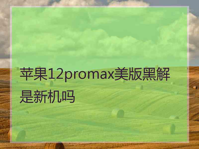 苹果12promax美版黑解是新机吗