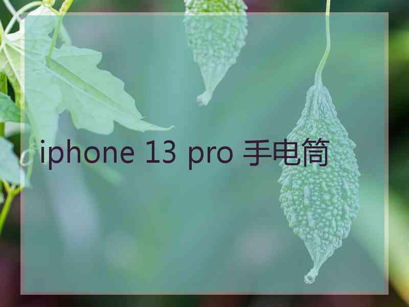 iphone 13 pro 手电筒