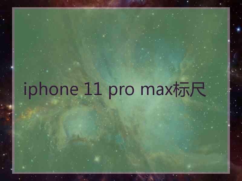 iphone 11 pro max标尺