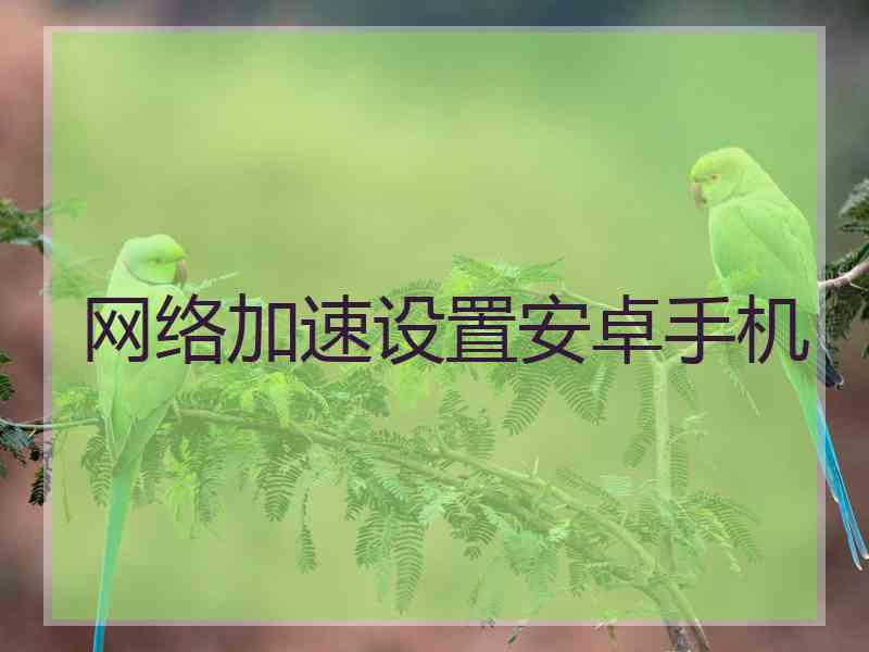 网络加速设置安卓手机