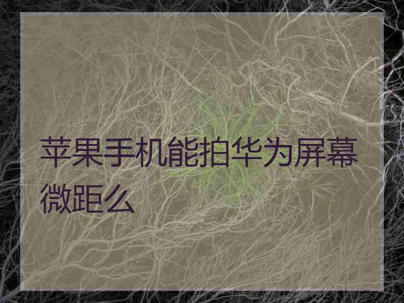 苹果手机能拍华为屏幕微距么