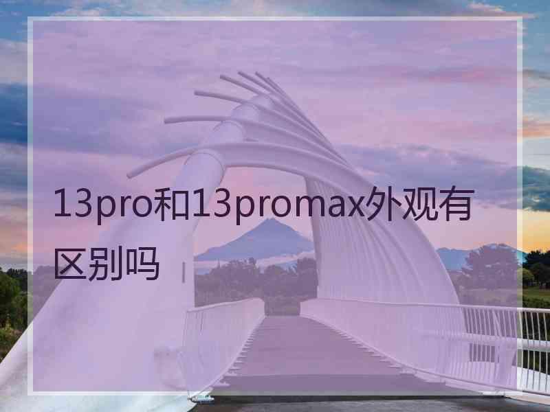 13pro和13promax外观有区别吗