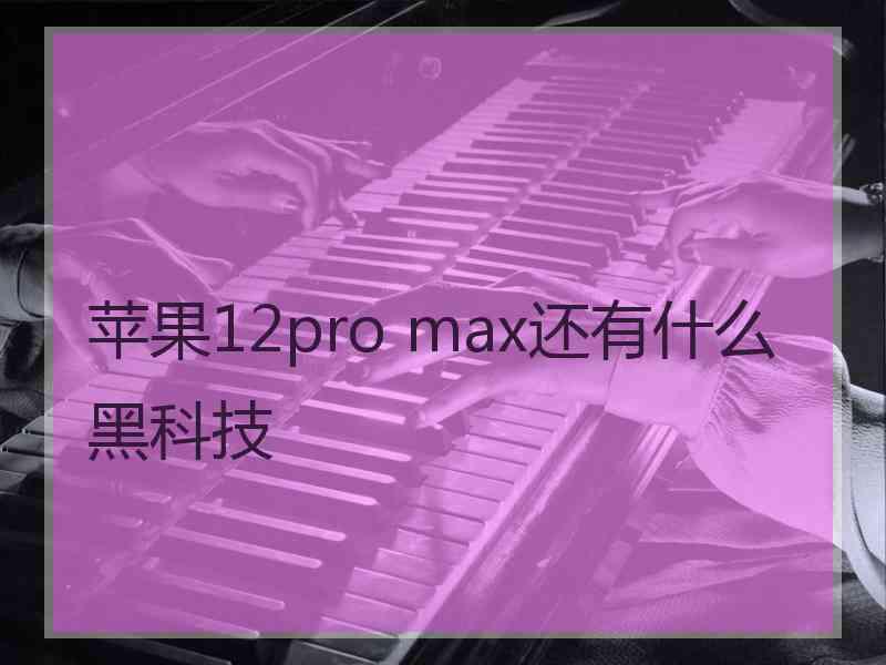 苹果12pro max还有什么黑科技