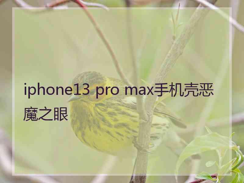 iphone13 pro max手机壳恶魔之眼