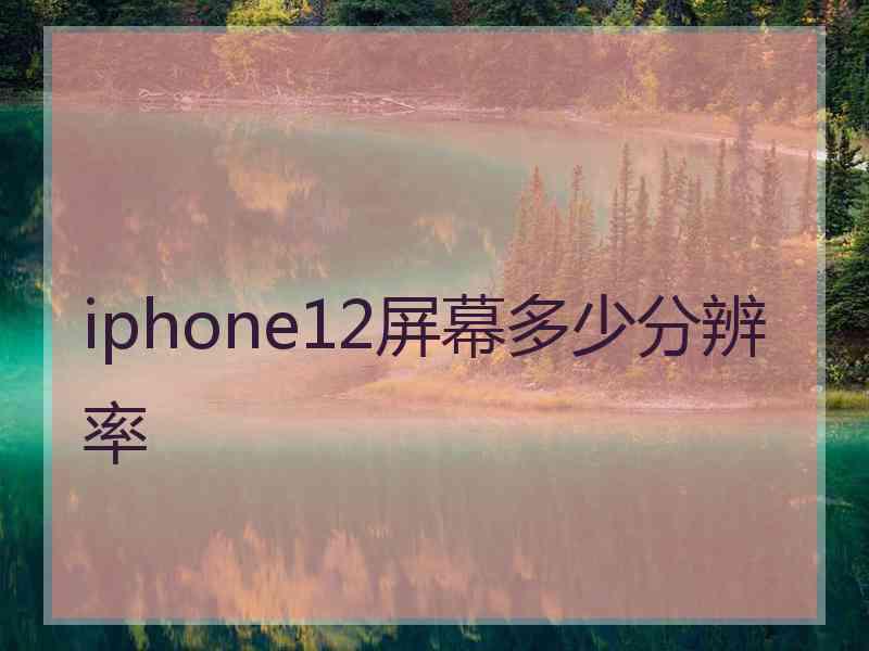 iphone12屏幕多少分辨率