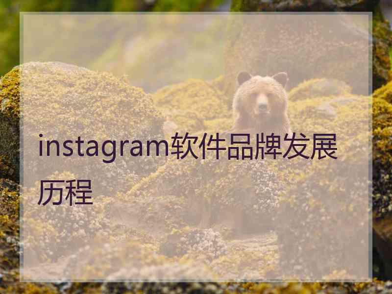 instagram软件品牌发展历程