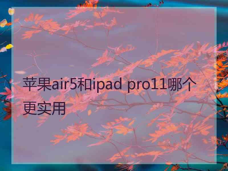 苹果air5和ipad pro11哪个更实用