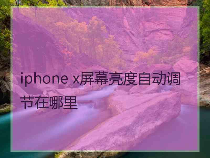 iphone x屏幕亮度自动调节在哪里