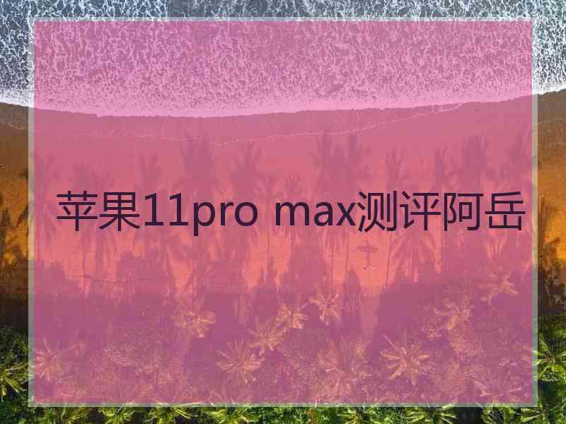 苹果11pro max测评阿岳