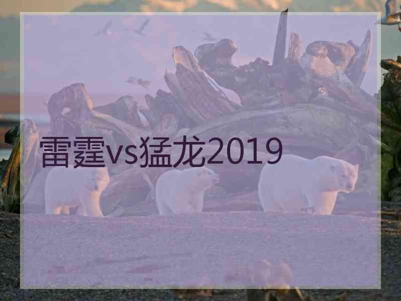 雷霆vs猛龙2019