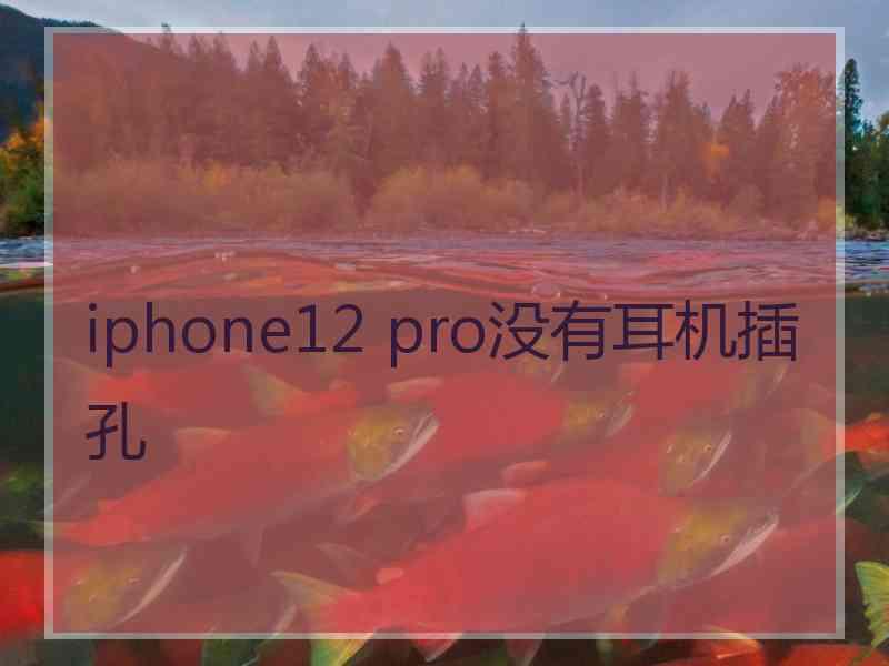 iphone12 pro没有耳机插孔