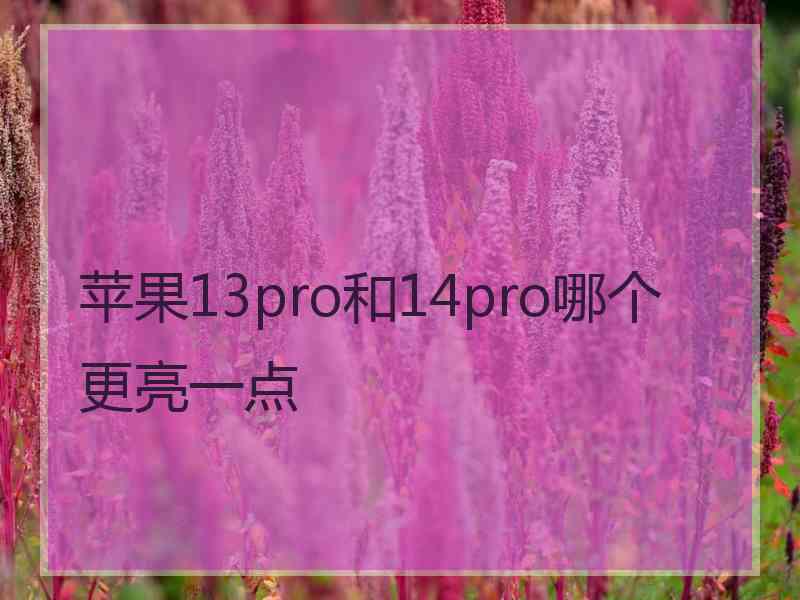 苹果13pro和14pro哪个更亮一点