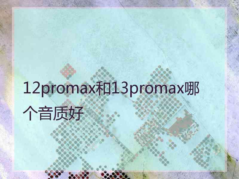 12promax和13promax哪个音质好