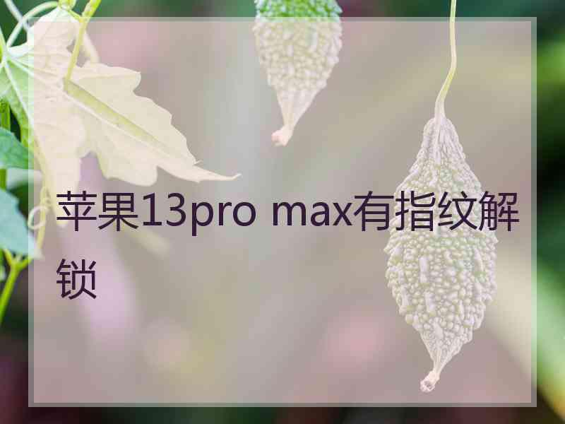 苹果13pro max有指纹解锁