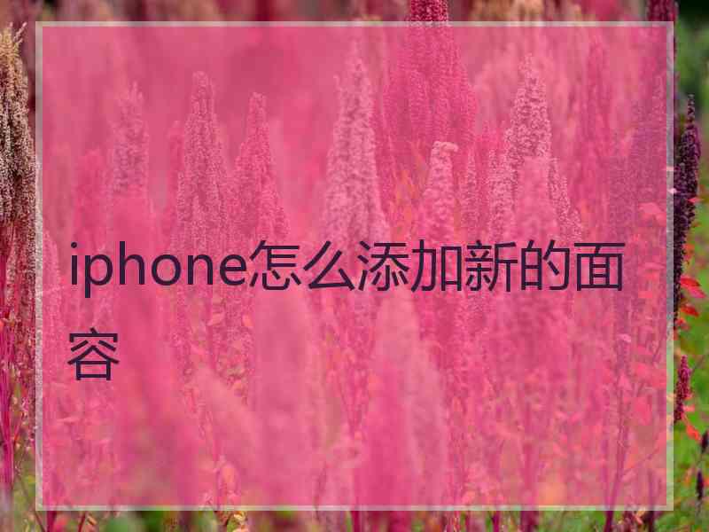 iphone怎么添加新的面容