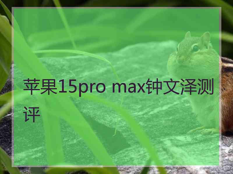 苹果15pro max钟文泽测评