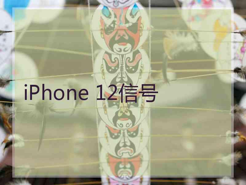 iPhone 12信号