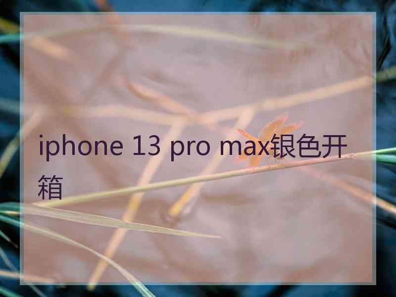 iphone 13 pro max银色开箱