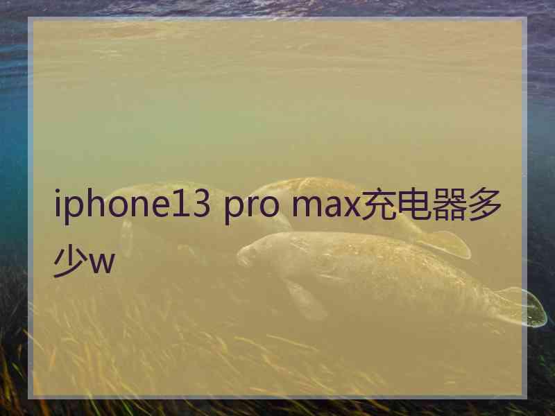 iphone13 pro max充电器多少w