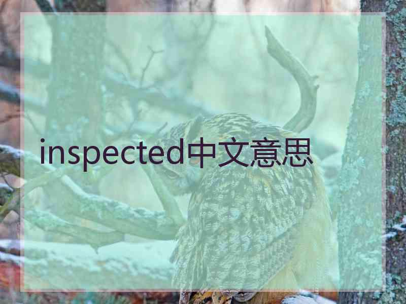 inspected中文意思