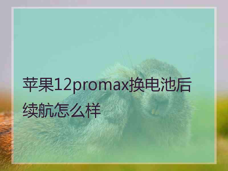 苹果12promax换电池后续航怎么样